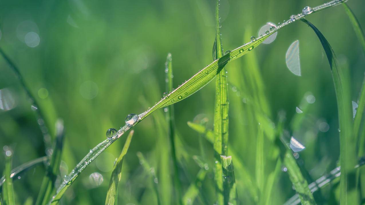 应用安全 - 游戏高