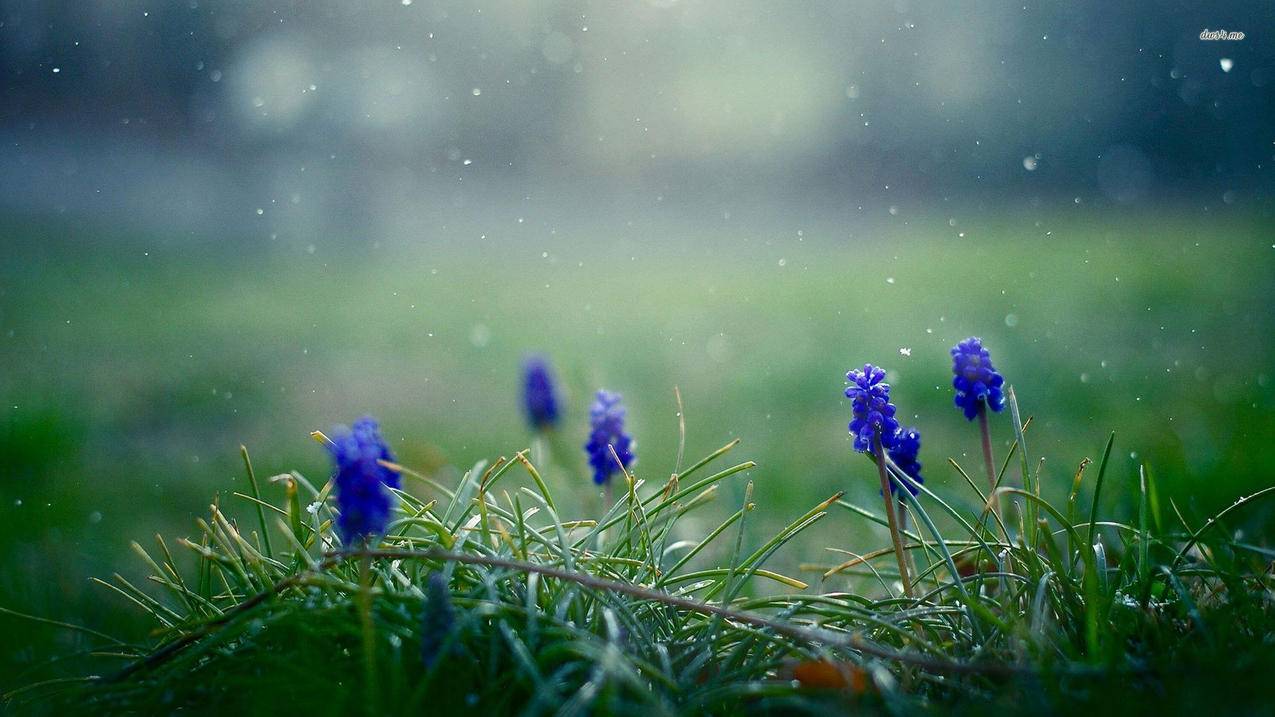 wpf和winform的区别-雨云资讯-雨云测评网