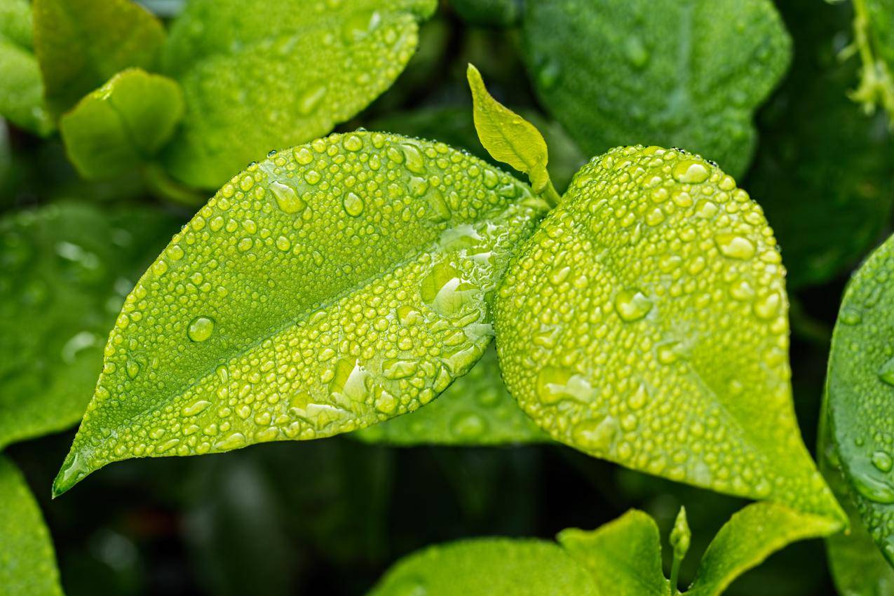 高效存储——数据库二进制数据的妙用 (数据库二进制数据)-雨云安全