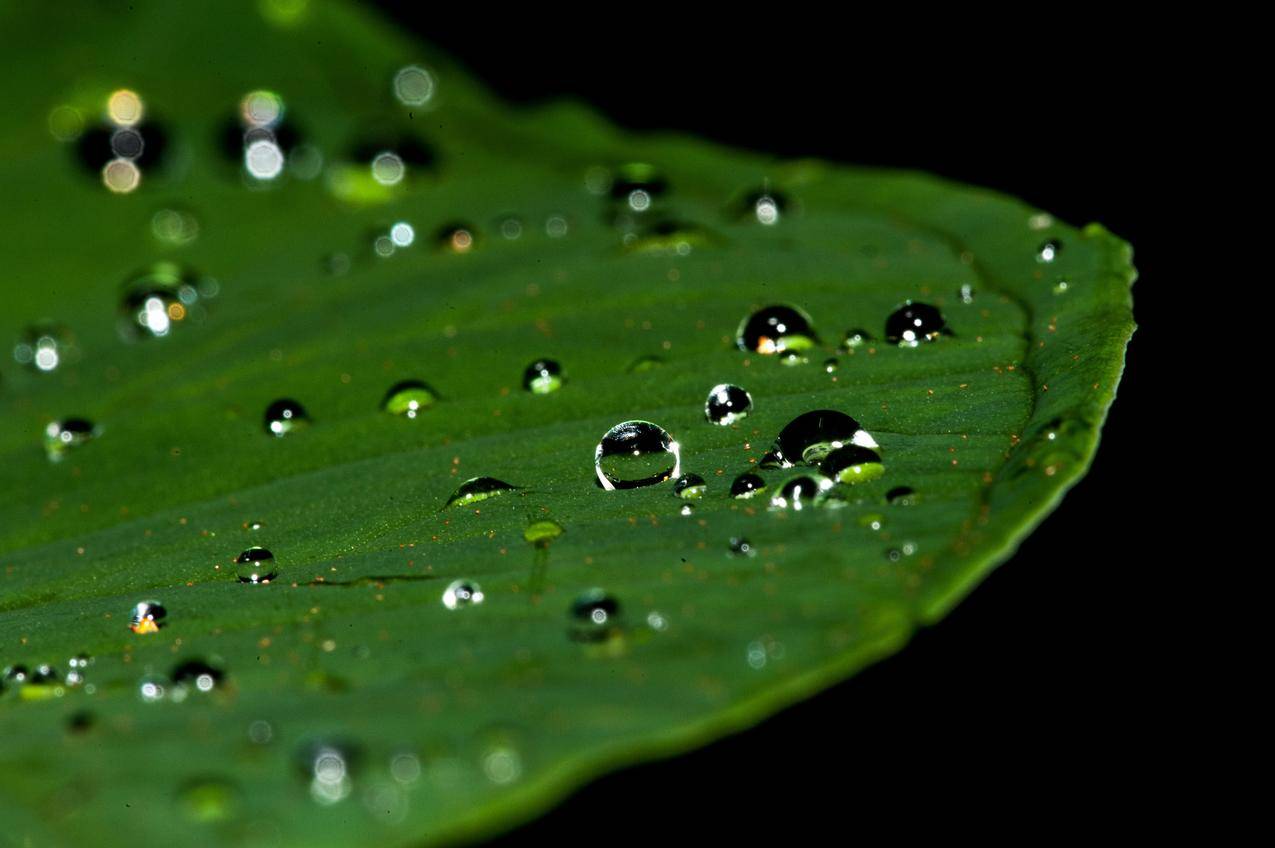 荒野迷城公测兑换码大全-雨云游戏网